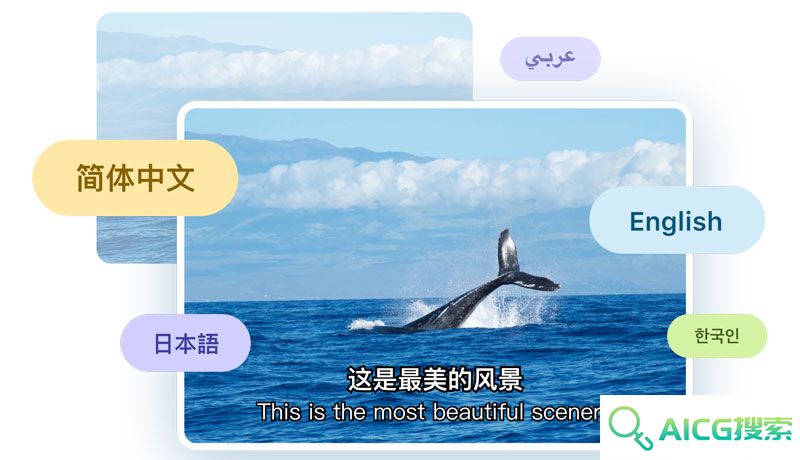 快转字幕