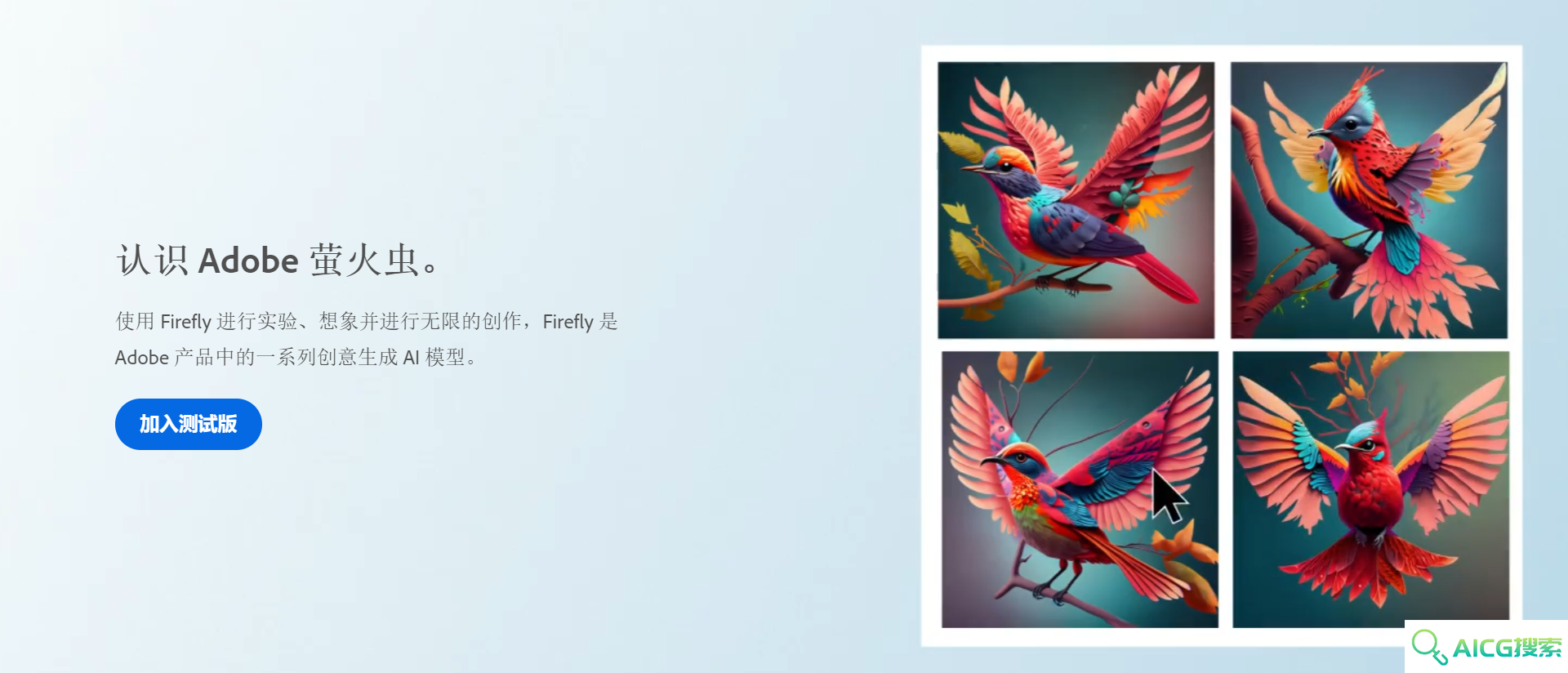 Adob​​e Firefly